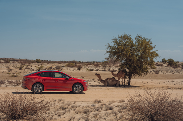 Škoda Enyaq explores the source of human life