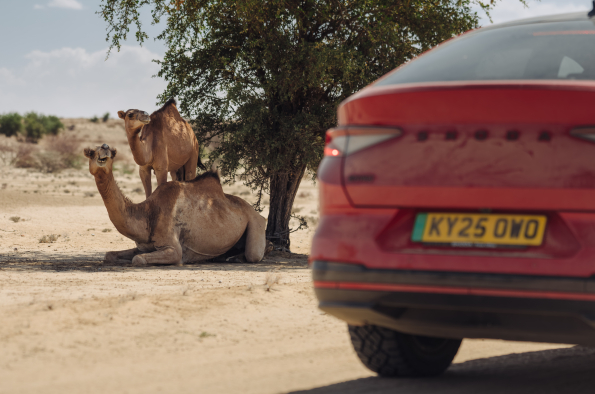 Škoda Enyaq explores the source of human life